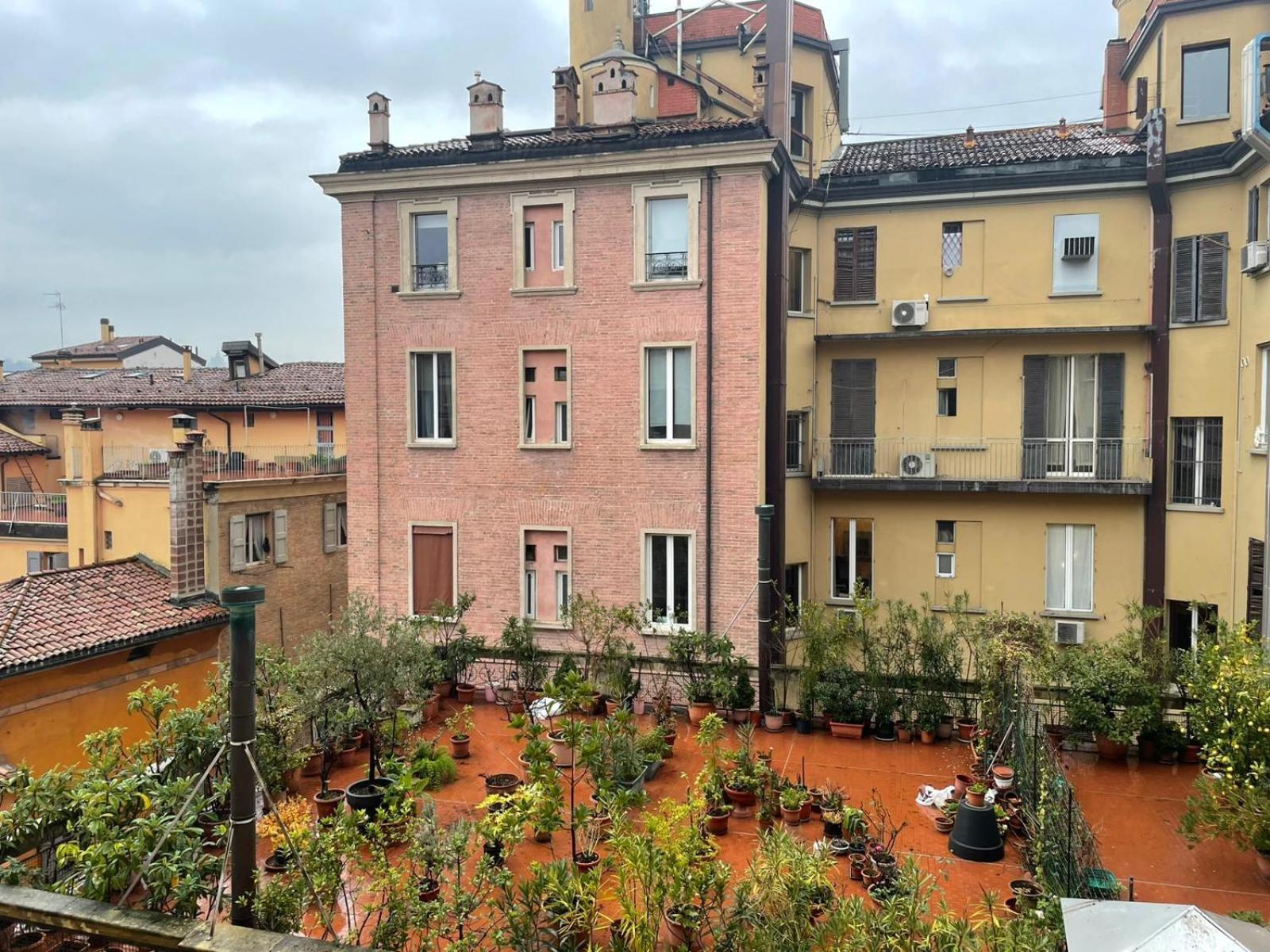 Le Suites Dell'Edera Bologna Bagian luar foto